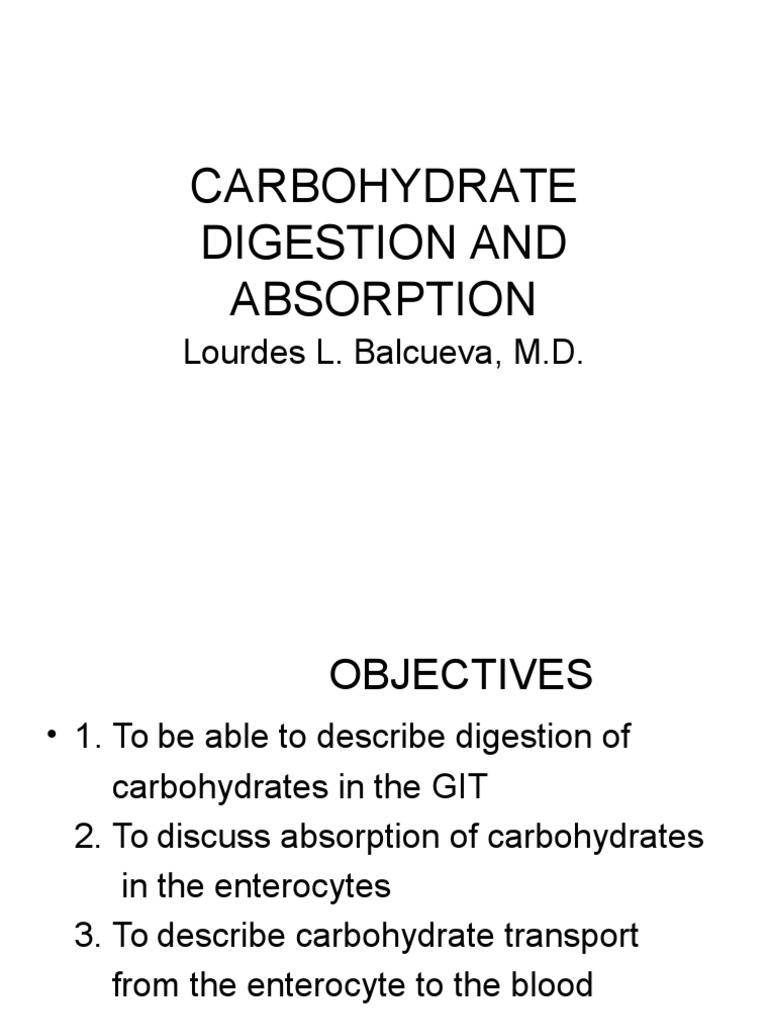 Carbohydrate Digestion and Absorption PDF Digestion Glucose