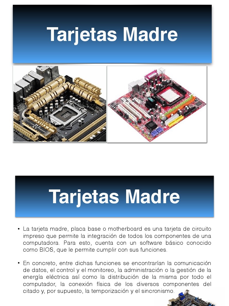 Componentes De Una Tarjeta Madre Y Sus Funciones Varias