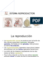 Sistema Reproductor.ppt