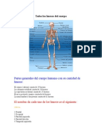 Todos los huesos del cuerpo.docx