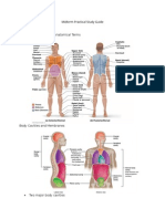 A & P Midterm Practical Study Guide