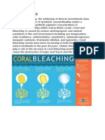 Coral Bleaching Notes
