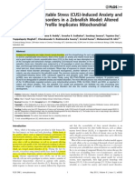 Chronic Unpredictable Stress (CUS) - Induced Anxiety and