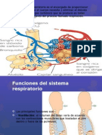 Sistema respiratorioxd.pptx