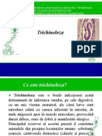 Trichineloza PDF