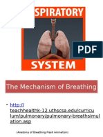 Respiratory System Powerpoint (1)