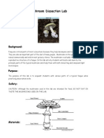 Mushroom Dissection Lab