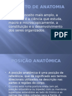 Posição Anatômica