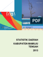 Mateng Statistik 2013