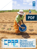 CPAP PNUD 2015 - 2019 : Plan d'Action  pour la mise en oeuvre du programme de pays entre le gouvernement de Madagascar et le PNUD.