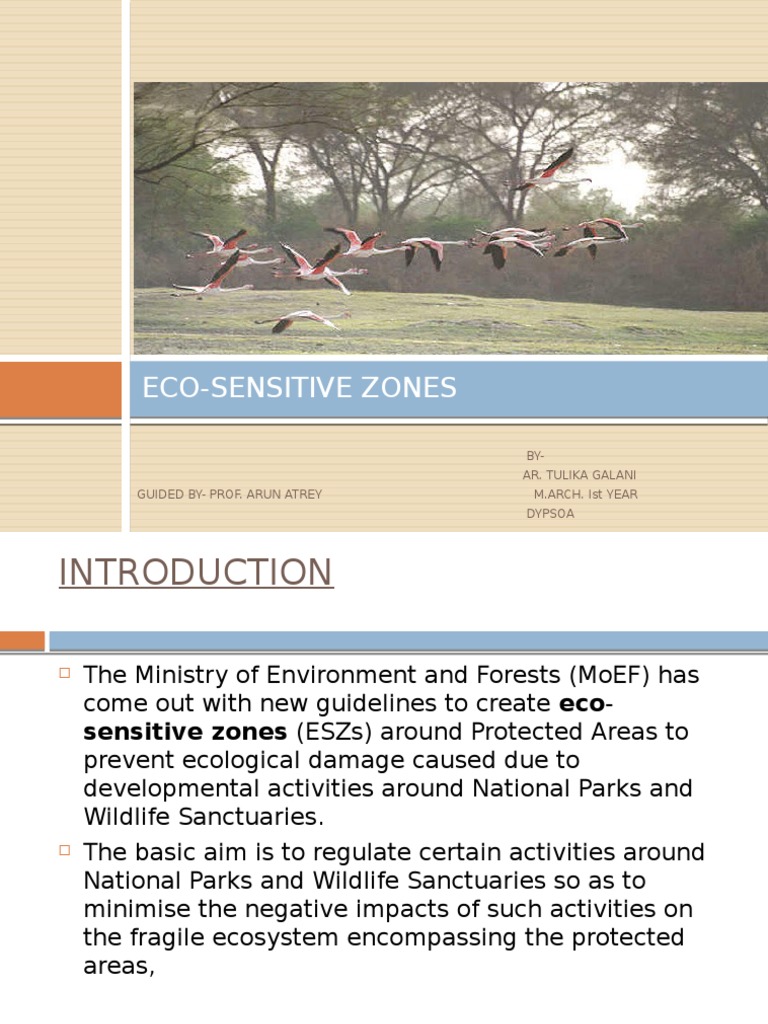 Eco Sensitive Zones PDF Writ Government Information