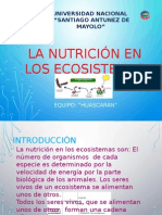 Nutricion en Ecosistemas Eco