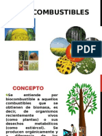 Bio Combustibles