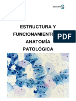 Anatomia Patologica