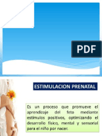 Estimulacion Prenatal