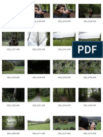 stanmer park contact sheet