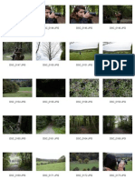 Stanmer Park Contact Sheet