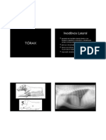 Aula 3 - Torax&Abdomen.pdf