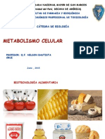 Metabolismo Celular (1)