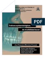 Libro Indices Epidemiologicos