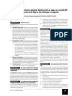 Declaraciones y Pagos PDF
