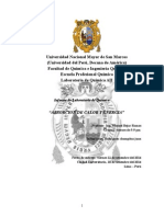 Informe 1 Absorcion de Calor y Energia