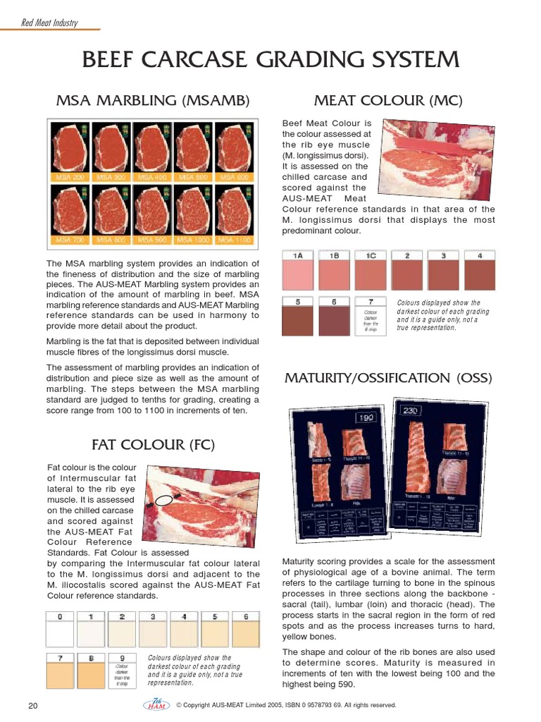 Aus Meat | PDF | Ph | Meat