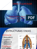 Anatomia Pulmonar