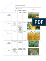 Jenis Serealia Dan Umbi Beserta Ciri