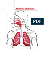 Sistemul Respirator