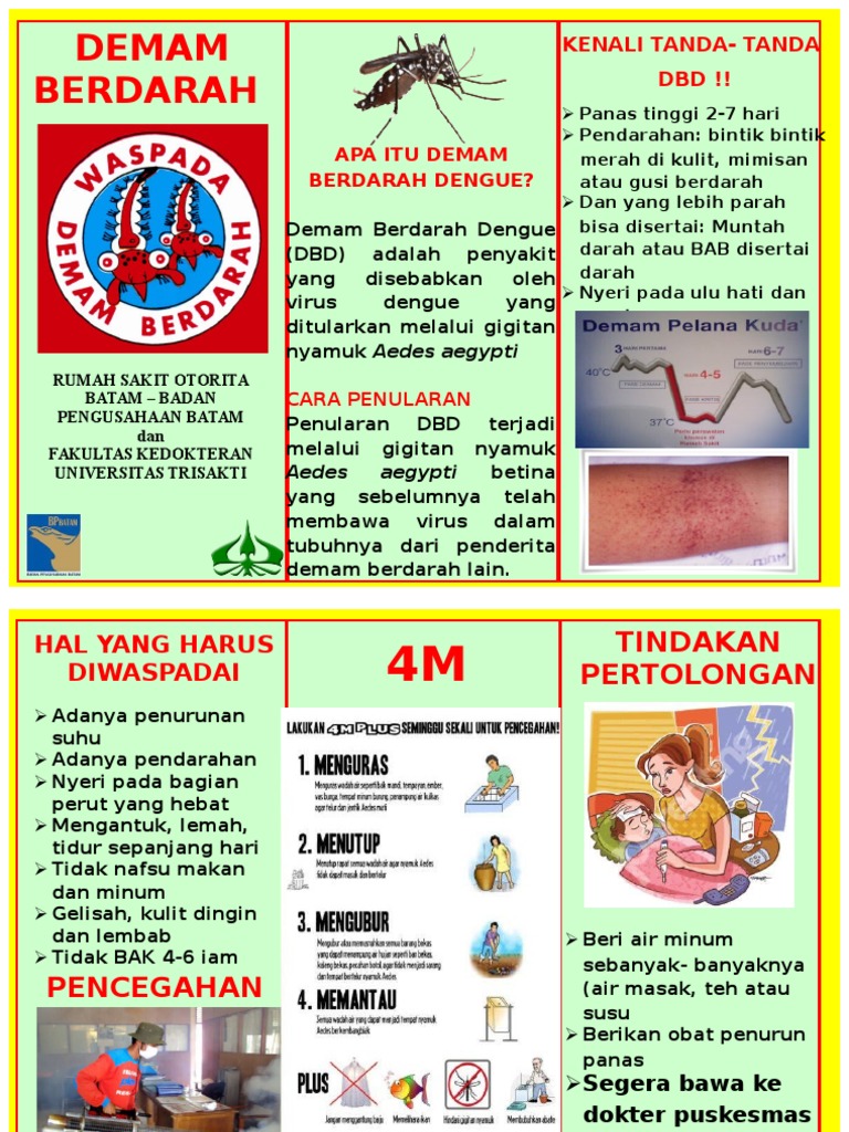 Leaflet DBD