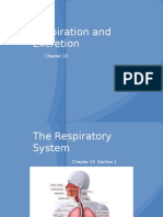 13-1 the Respiratory System Web