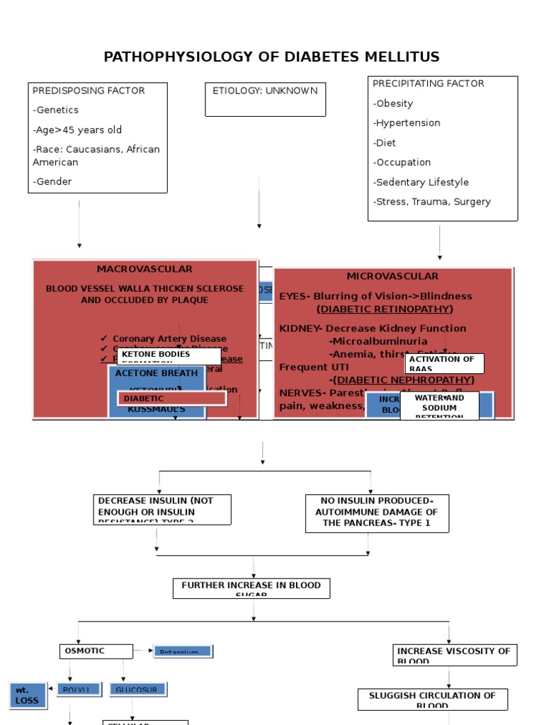 Pathophysiology of Diabetes Mellitus | PDF | Diabetes | Physiology