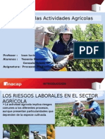 Riesgos en La Agricultura