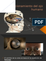 Funcionamiento Del Ojo Humano