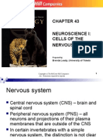 neuro1