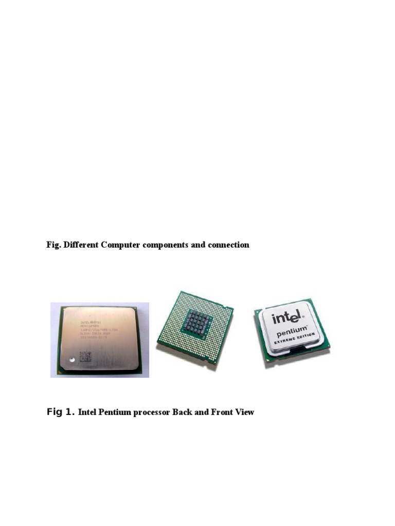 Computer Components and Connections Guide | PDF | Games & Activities ...
