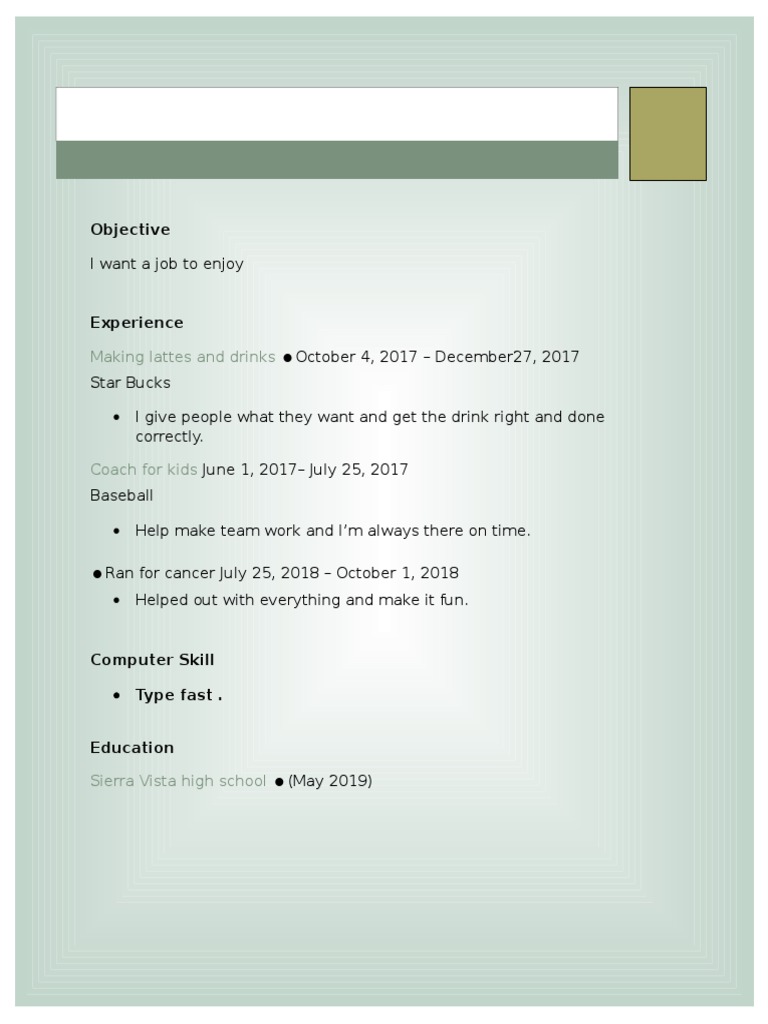 Job Experience and Skills Summary | PDF