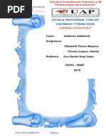 Download Informe Empresa Petroper - Auditoria Ambiental by Anonymous oxGS5d SN292102923 doc pdf