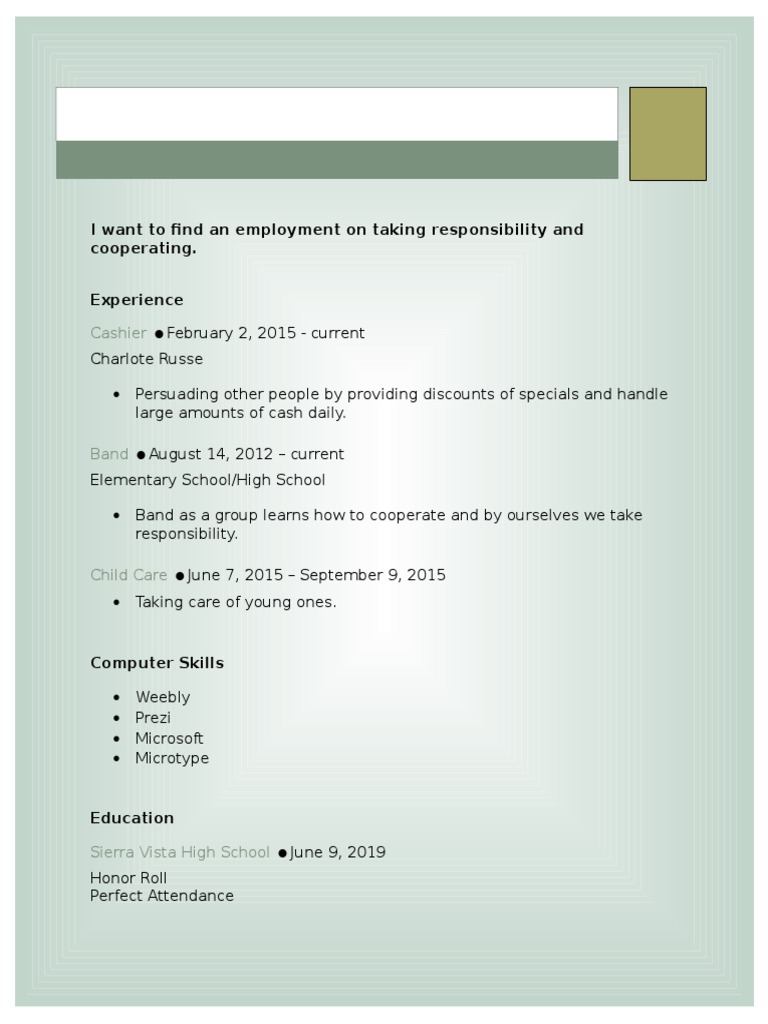 Employment Experience and Skills Summary | PDF