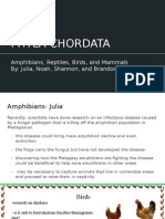 Stem Bio-Biotech Chordata Research Presentation