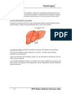 Anatomia Higado