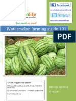 Melon Farming Guide