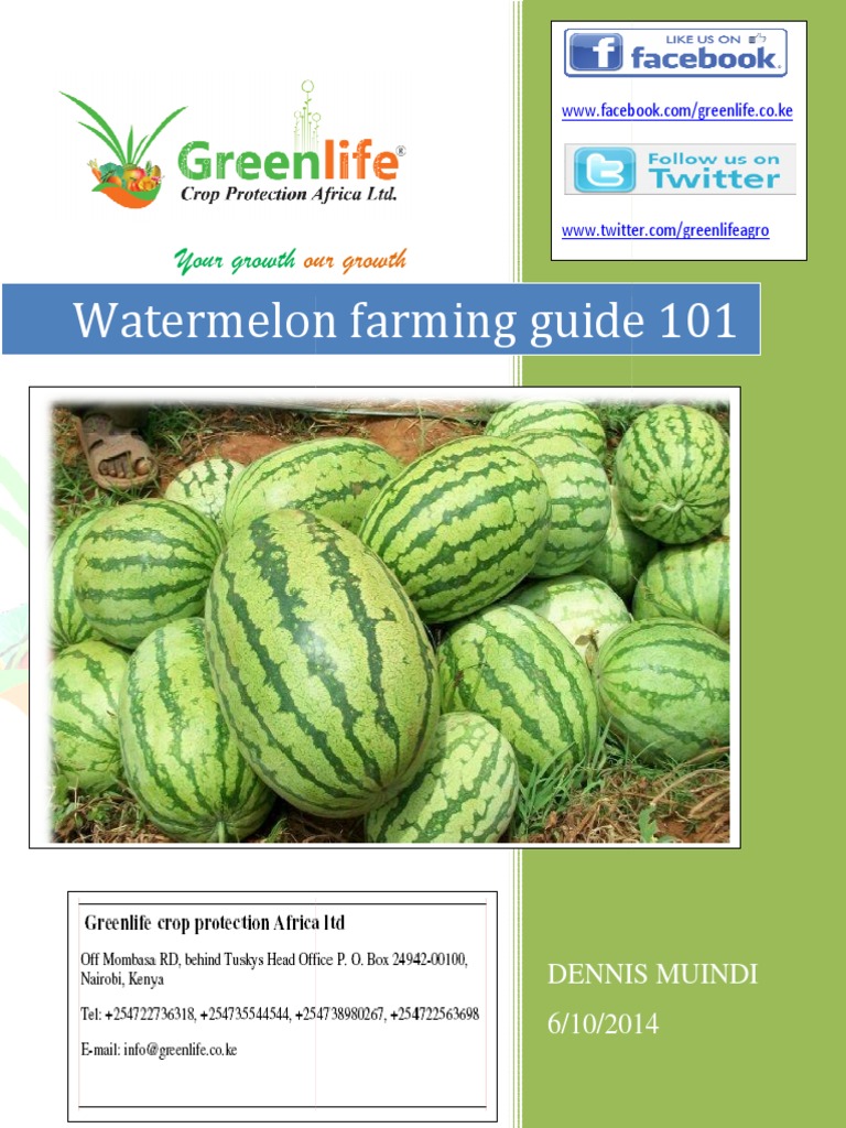 Melon Farming Guide Watermelon Soil