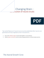 Changing Brain