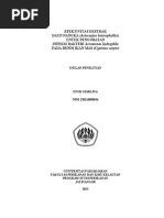 Download nangka contoh by Dani11 SN292146942 doc pdf
