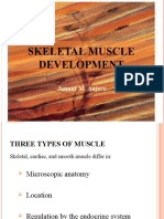 Skeletal Muscle Development: Januar M. Aujero