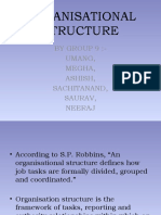 Organisational Structure: by Group 9:-Umang, Megha, Ashish, Sachitanand, Saurav, Neeraj