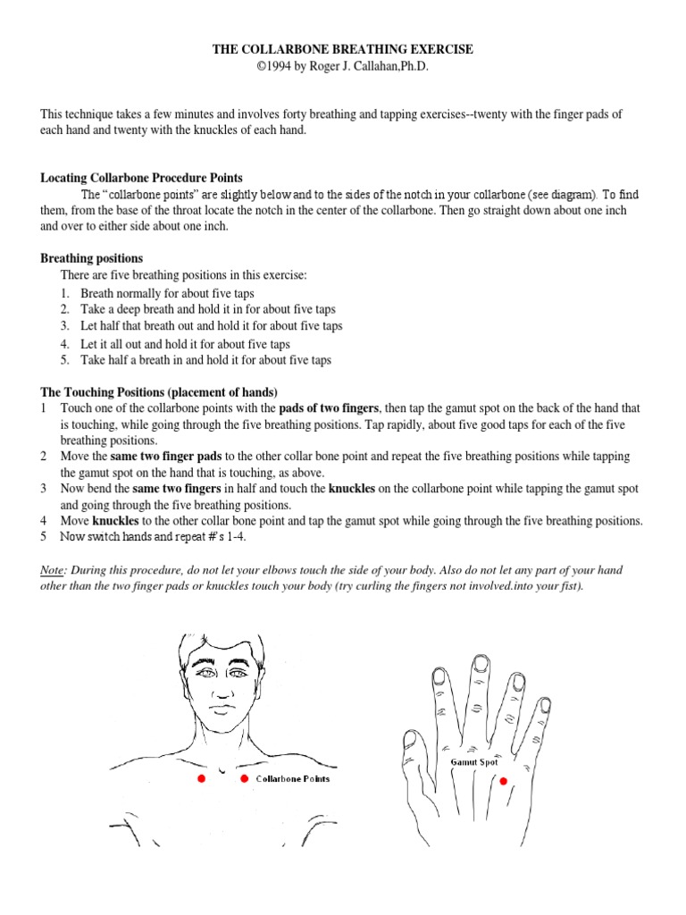 Cb2 Instructions | PDF