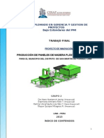 Gestión de Proyectos Según Enfoque Del Pmi - Producción de Paneles de Madera Plástica Multiusos, para El Municipio Del Distrito de San Martin de Porres, Lima